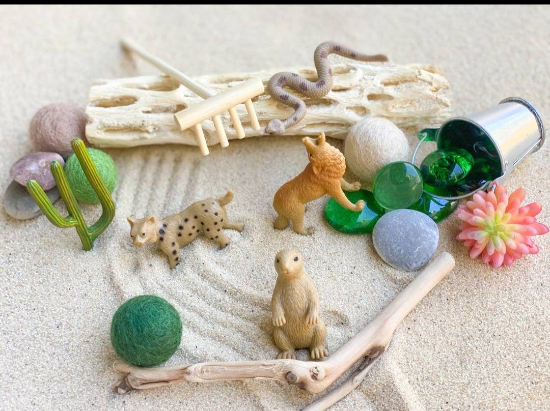 Sensory Bins