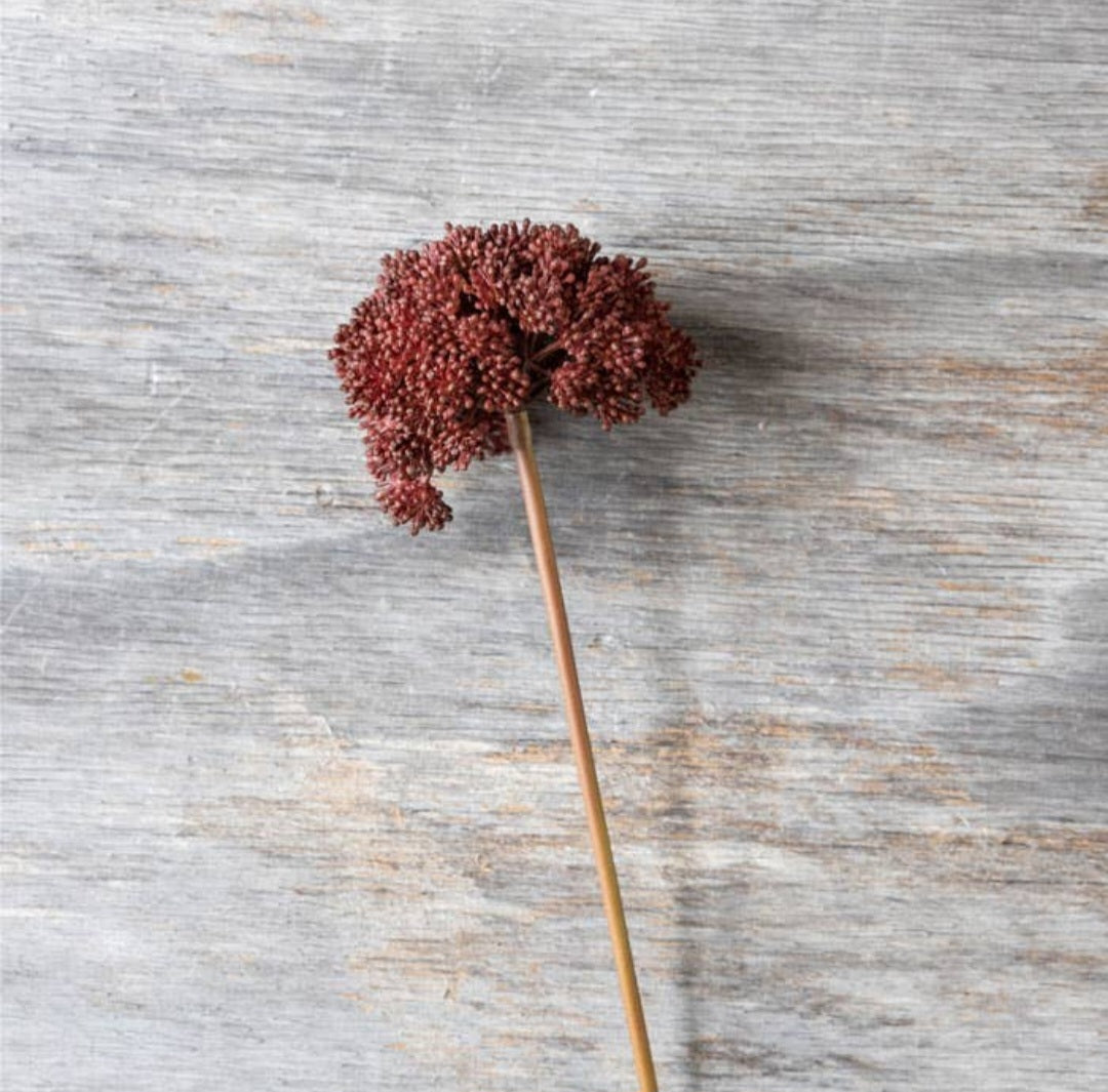 Sedum Crimson- Artificial Stem