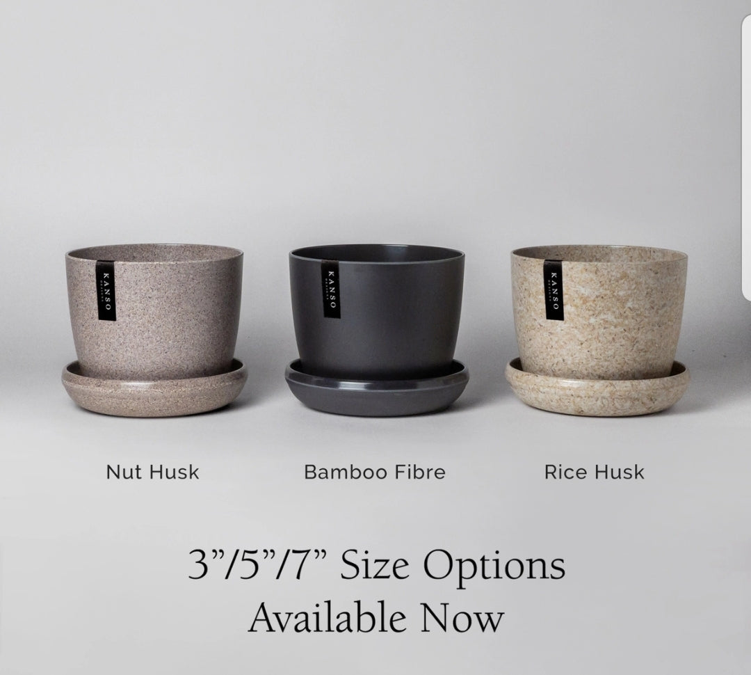 Set of 3