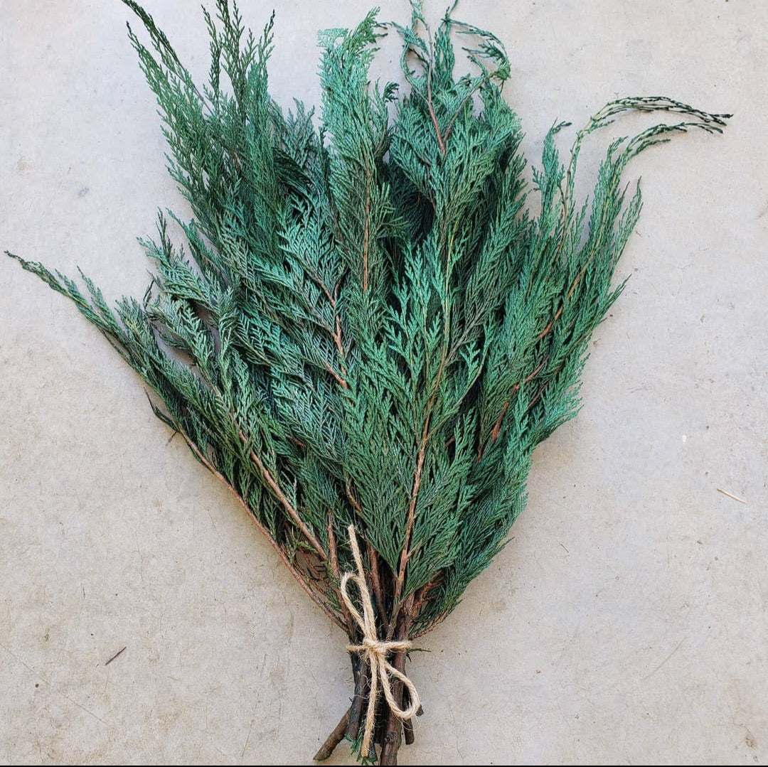 Cedar Greenery| Christmas Decor