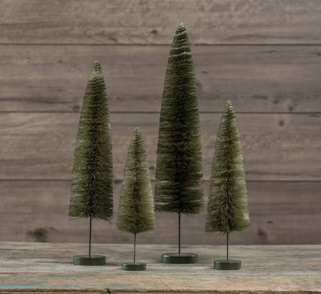 Bottlebrush Tree
