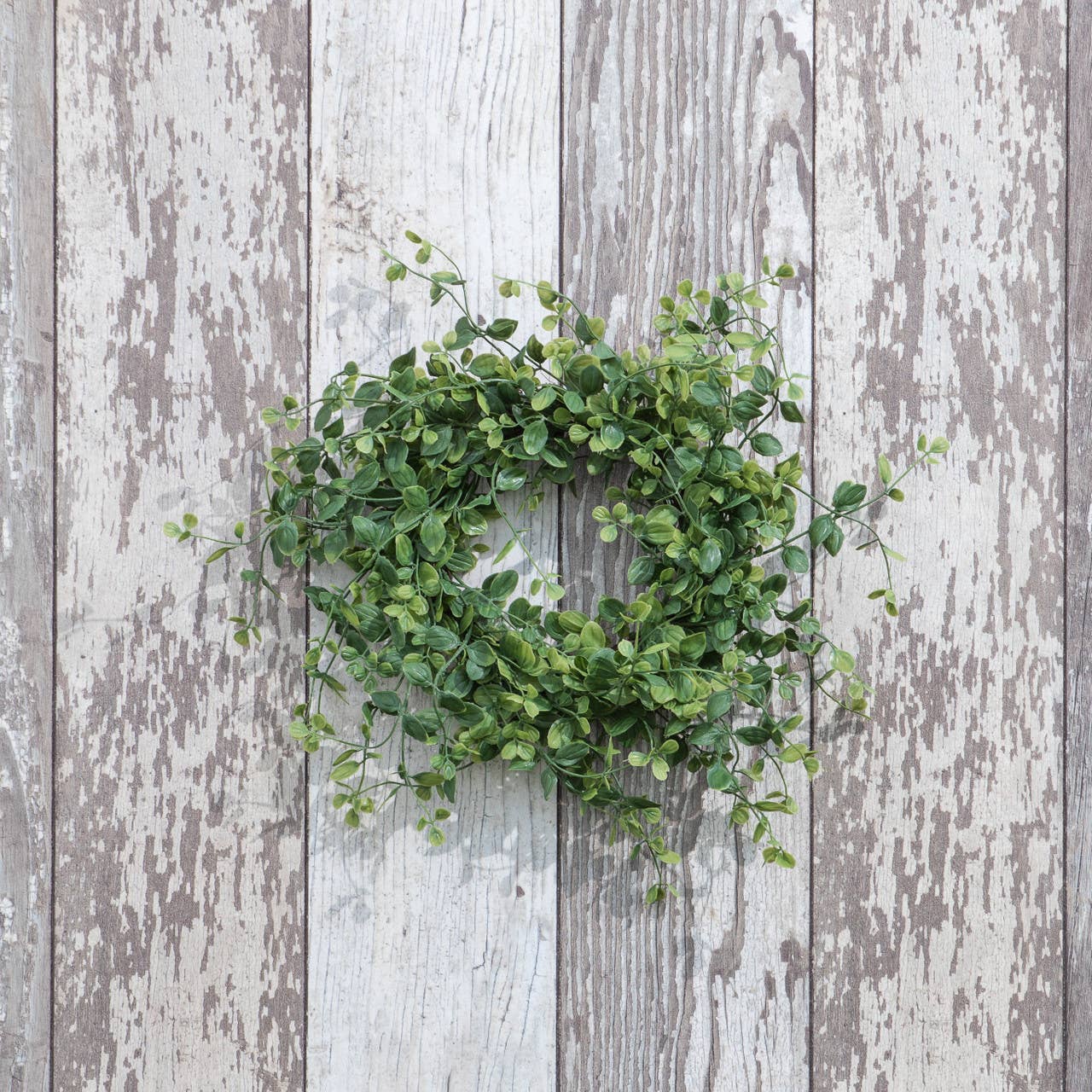14" VINCA LEAF CANDLE RING