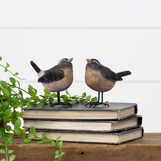 Birds With Metal Feet (Pk/02 Ast)