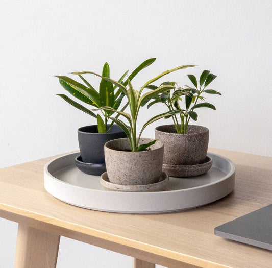 Set of 3