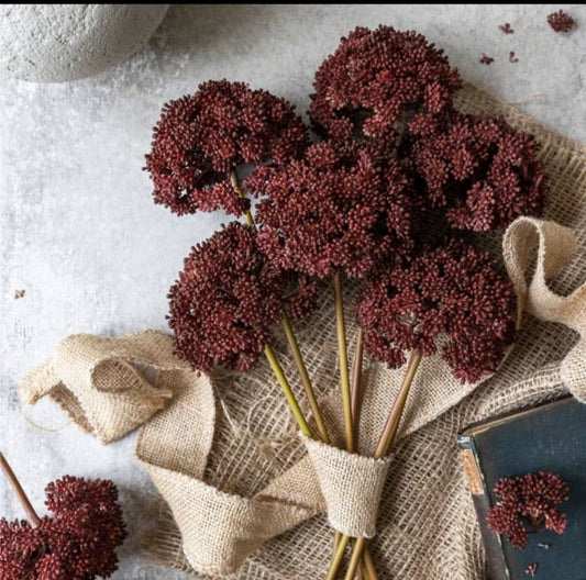 Sedum Crimson- Artificial Stem
