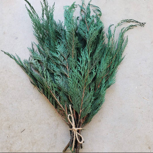 Cedar Greenery| Christmas Decor