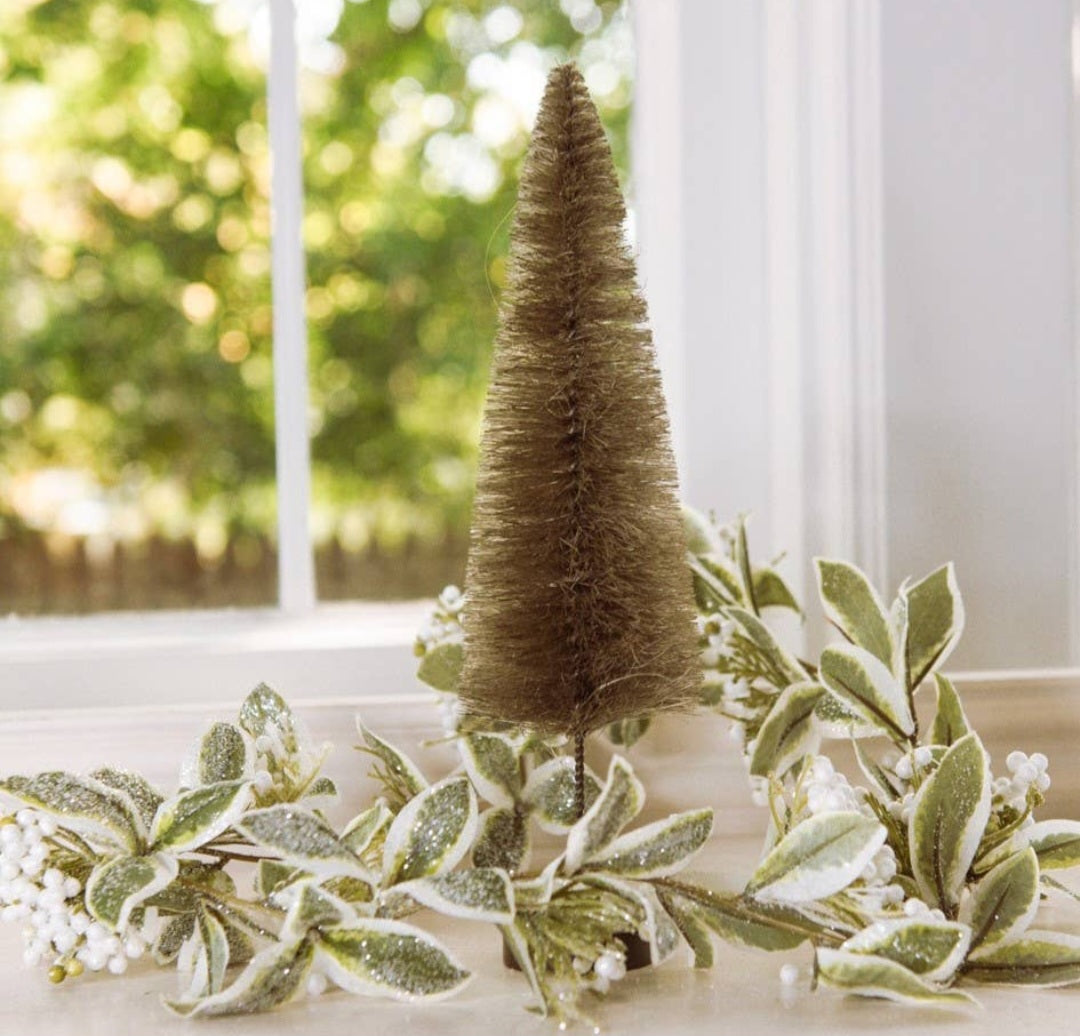 Bottlebrush Tree
